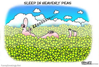 Heavenly Peas